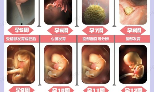 怀孕期间sd值一直偏高网 - 网站提供怀孕sd值偏高对孩子有影响吗小常识、孕妇sd值高是要多走路吗